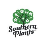 Southern Plants